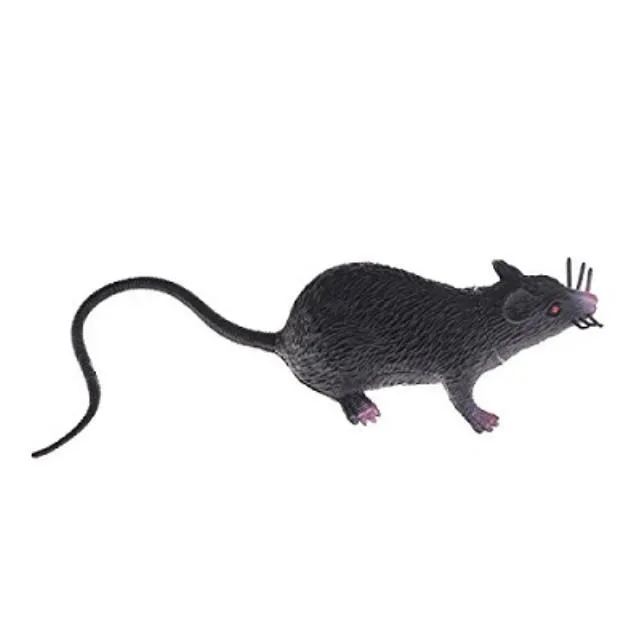 Rat- Black