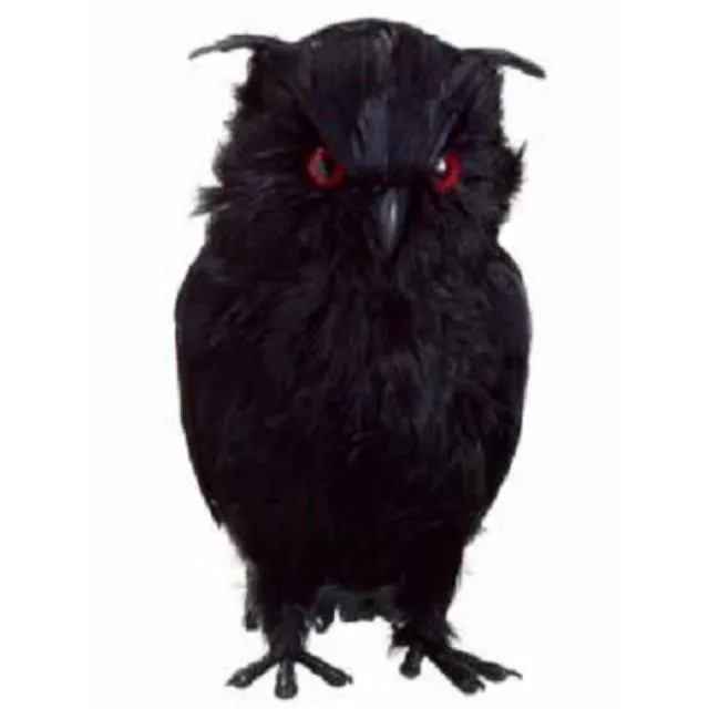 Spooky Owl