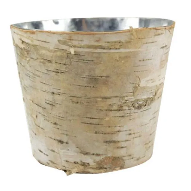 Birchwood Vase - Medium