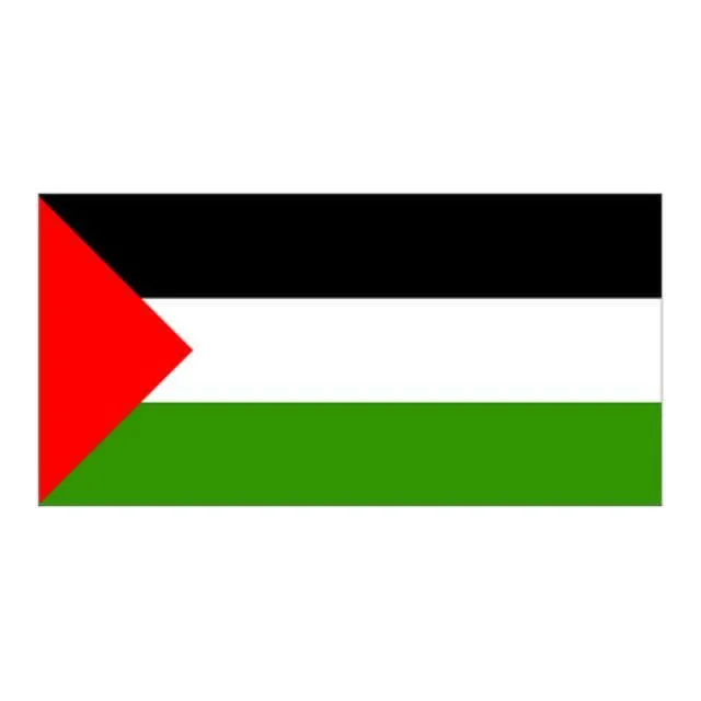 Palestine Flag - Small