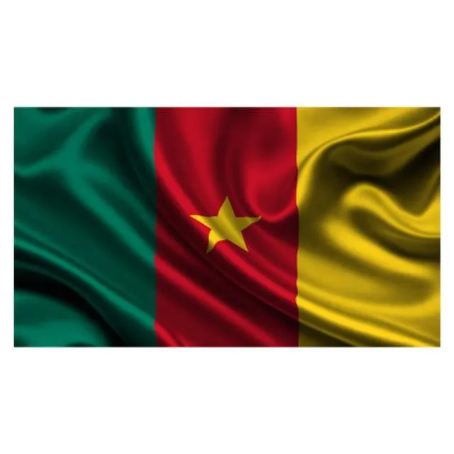 Cameroon Flag - Large
