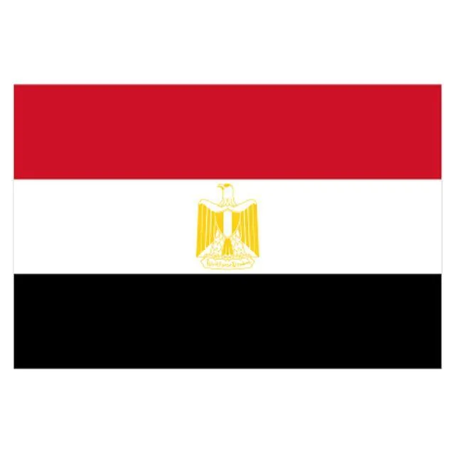 Egypt Flag - Small