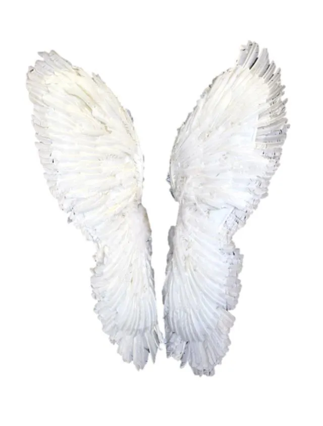 Angel Wings
