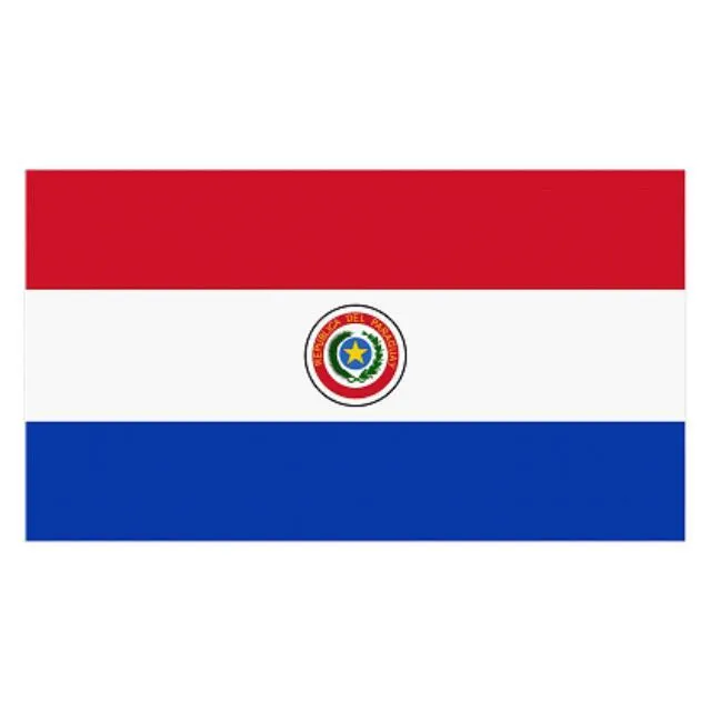 Paraguay Flag - Small