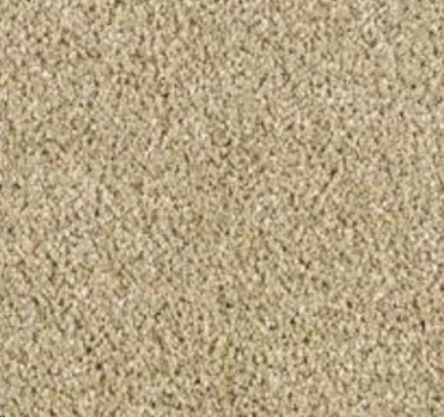 Beige Carpet