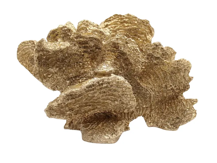 Gold Coral
