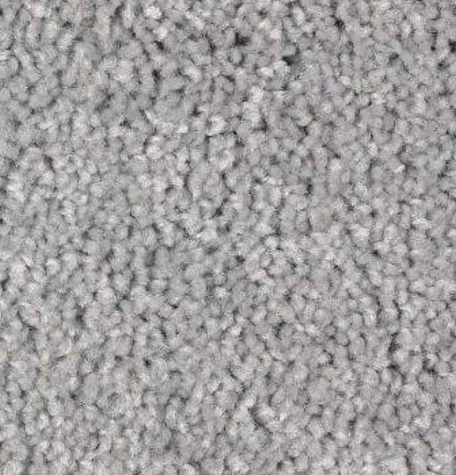 Gray Carpet
