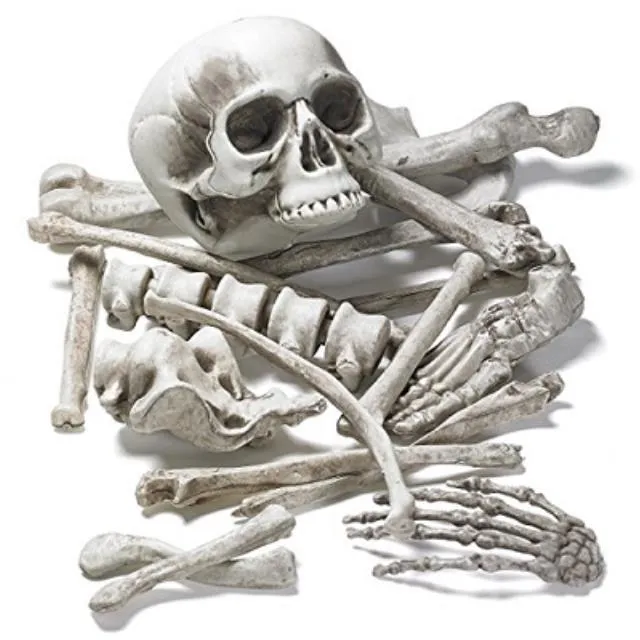 Bones and Skull Set