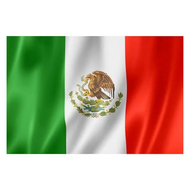 Mexico Flag - Medium