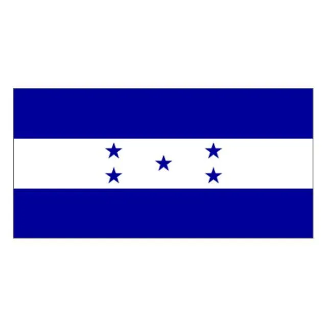 Honduras Flag - Small