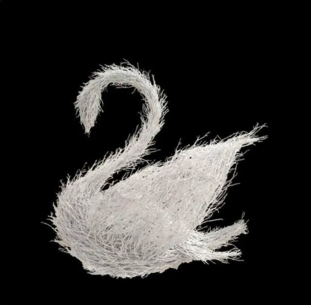 Manzanita Swan Black