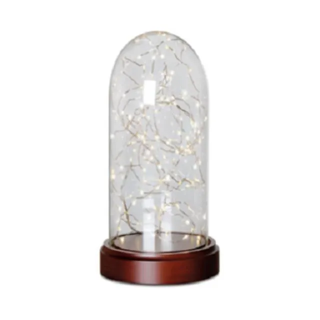 Glass Firefly Cloche - Large