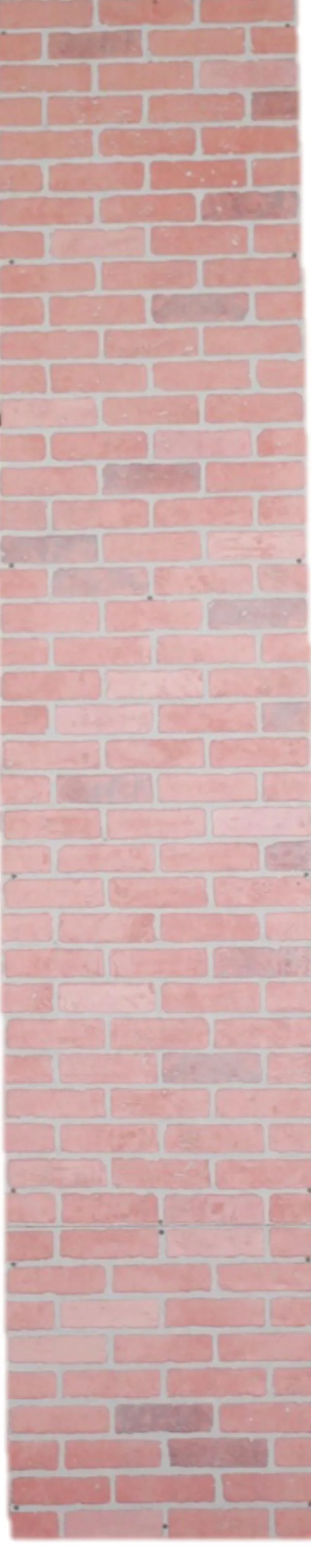 Brick Halves - White Cement