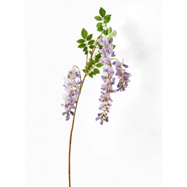 Wisteria Light Violet