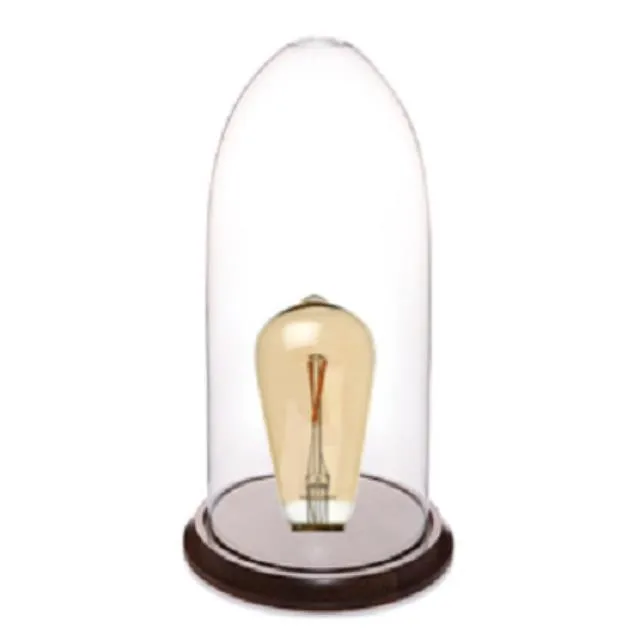Glass Edison Cloche - Large