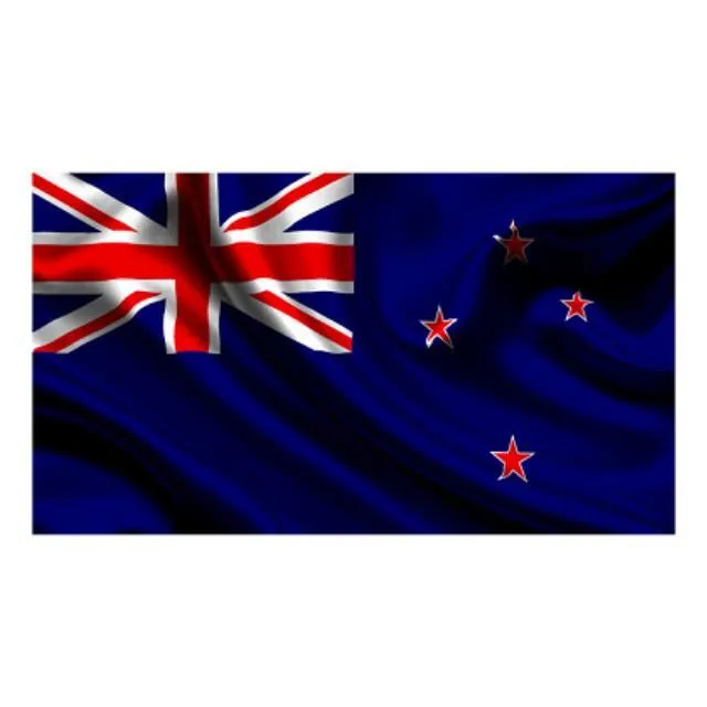 New Zealand Flag - Small