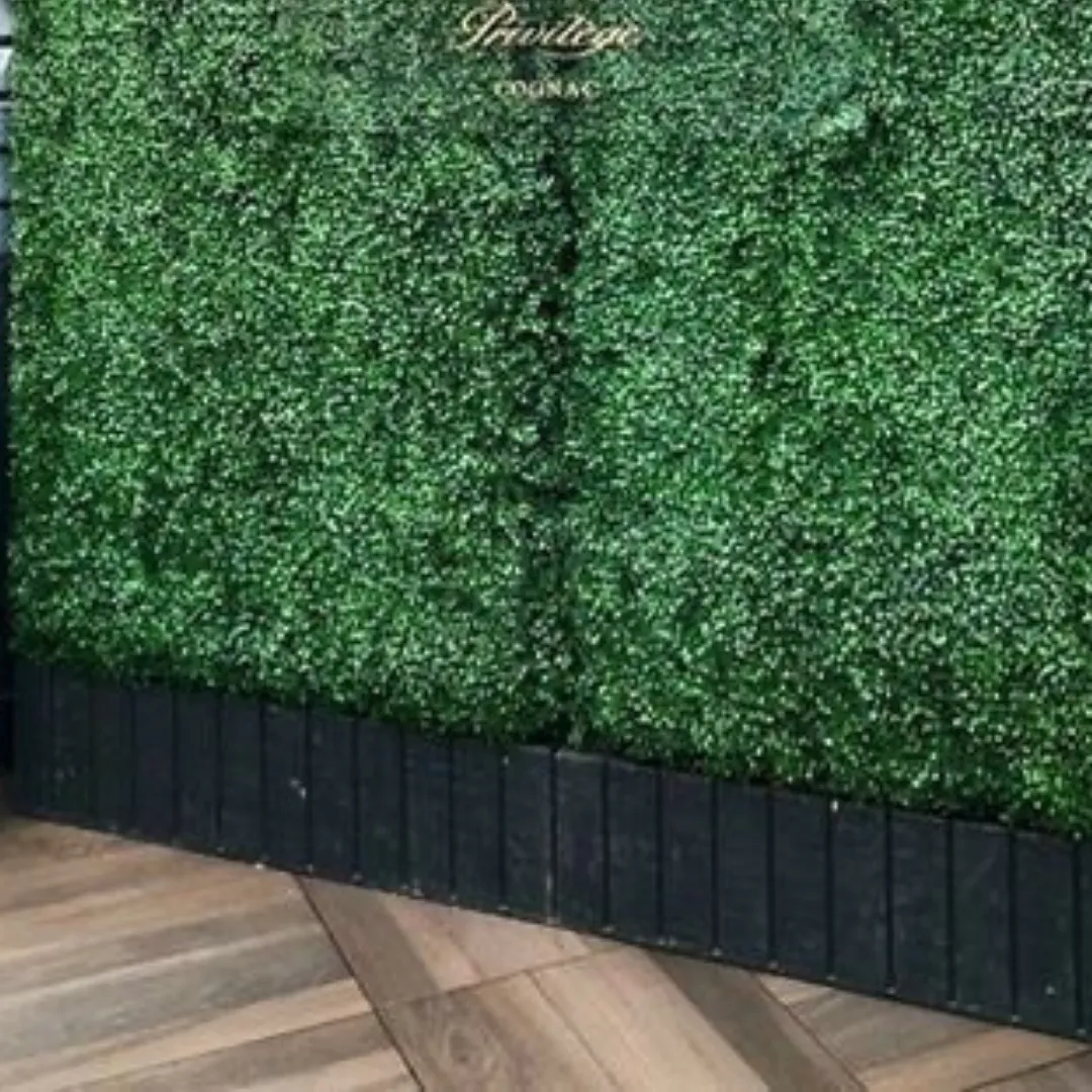 Nior Boxwood Base 8x8