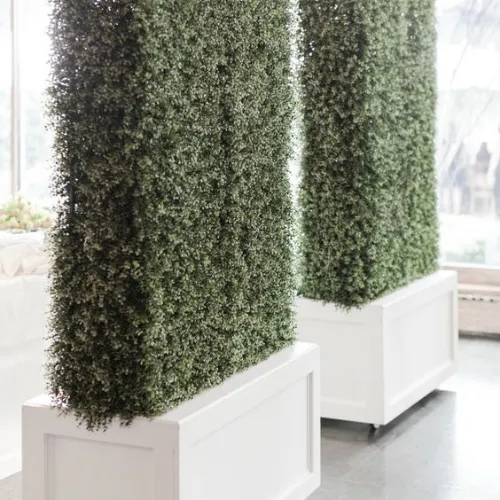 Blanc Boxwood Base 4x8