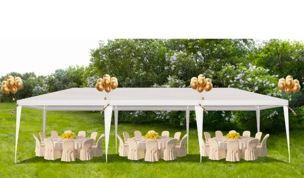 Pop-Up canopy 10 X 30