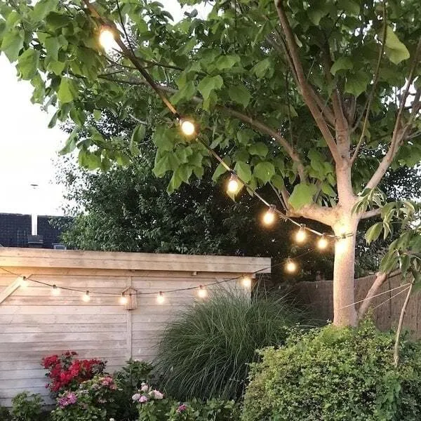 Lambikett 10m 20 pesa 0,8W LED