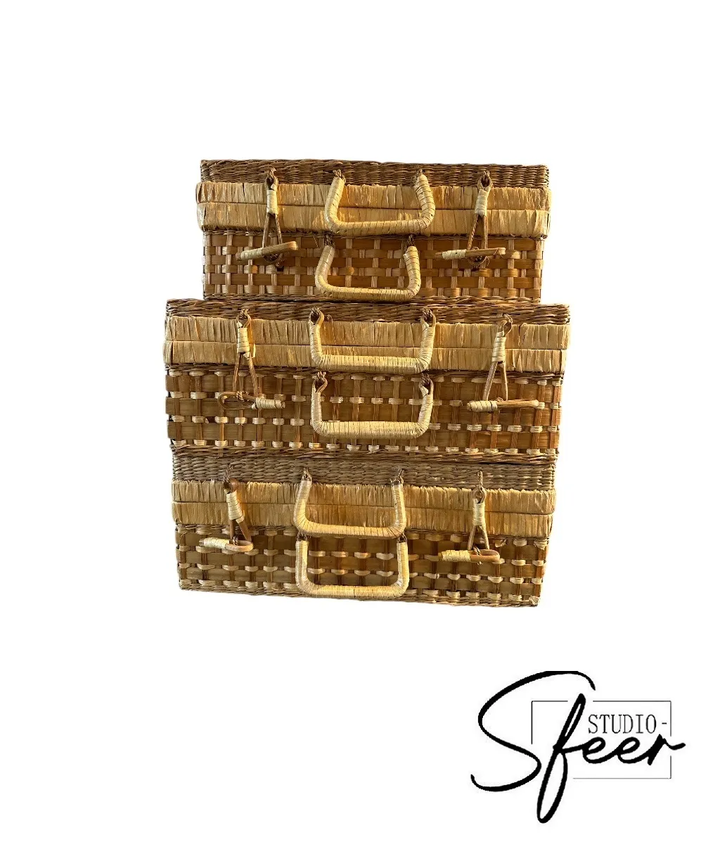 Koffer - rotan - set van 3