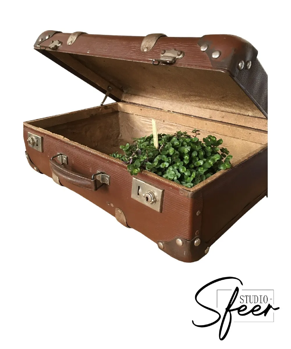 Koffer - broccant