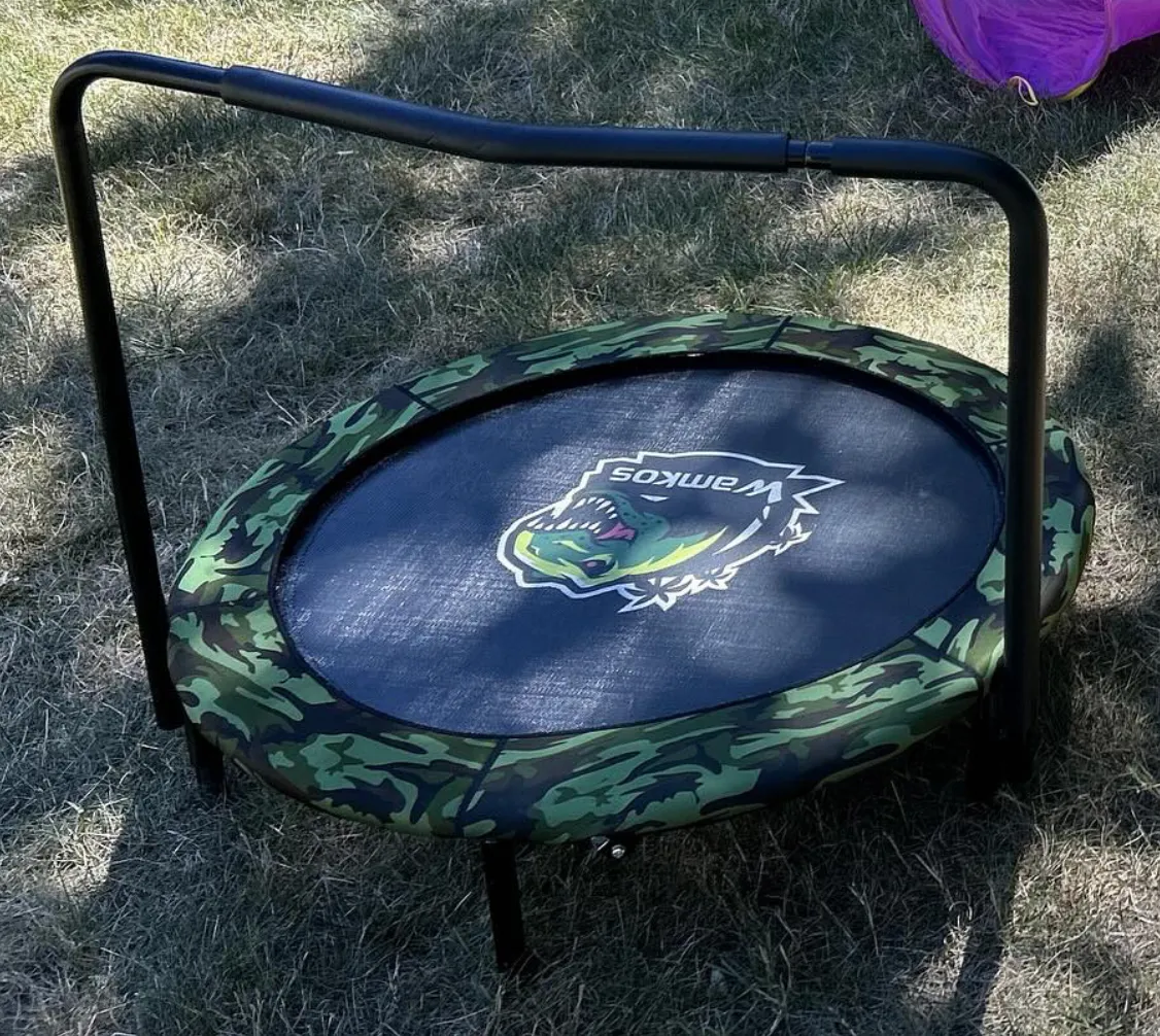 Mini Trampoline