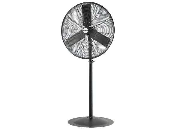 30" Pedestal Fan