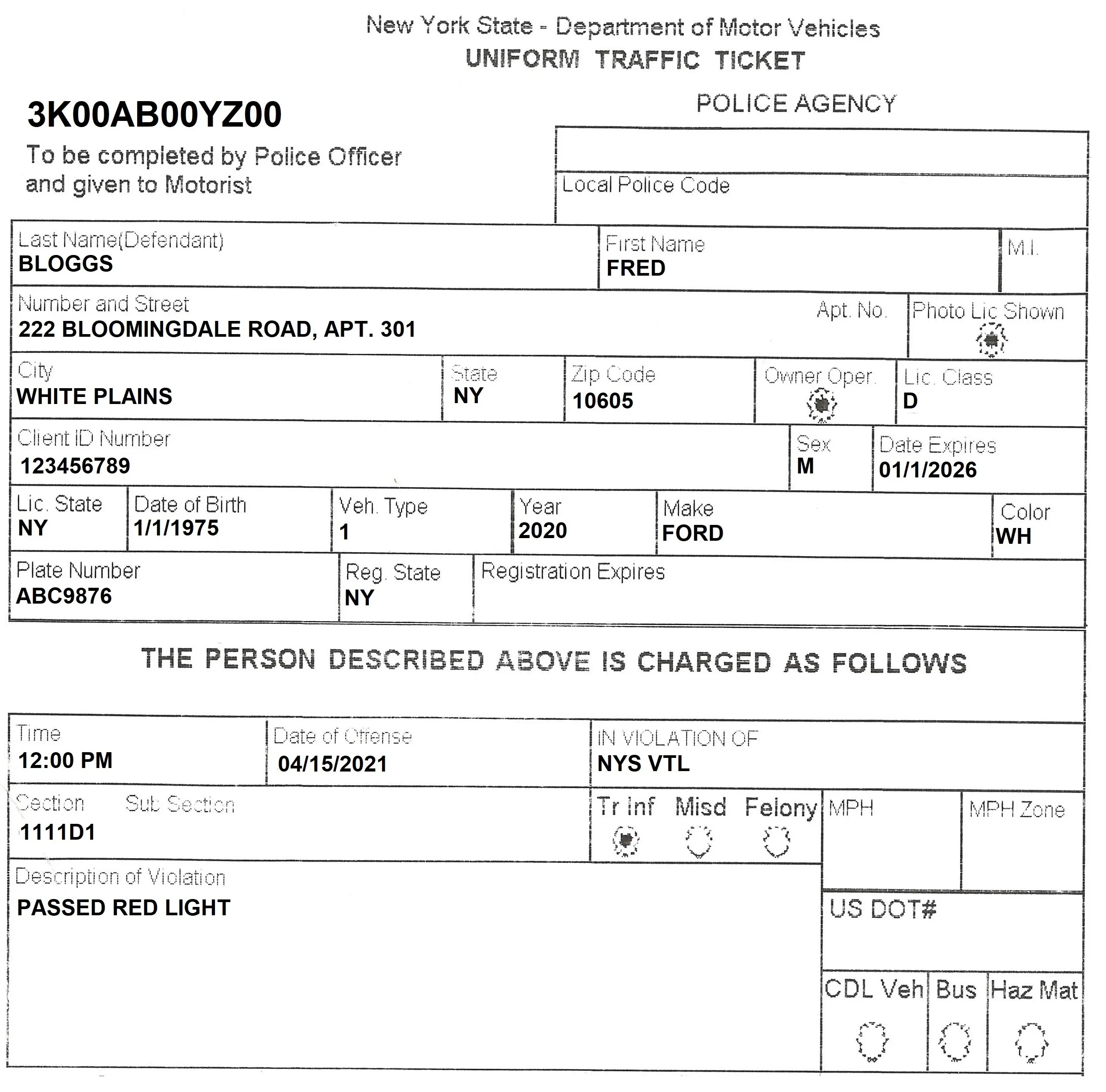 Traffic Violation (Multa)