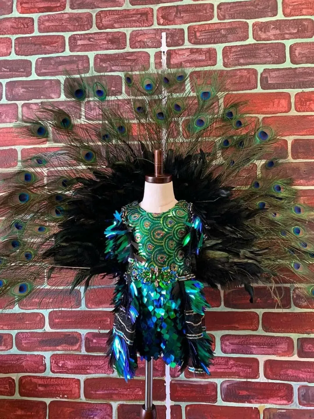 AM- Parisian Bridal peacock 18/3 