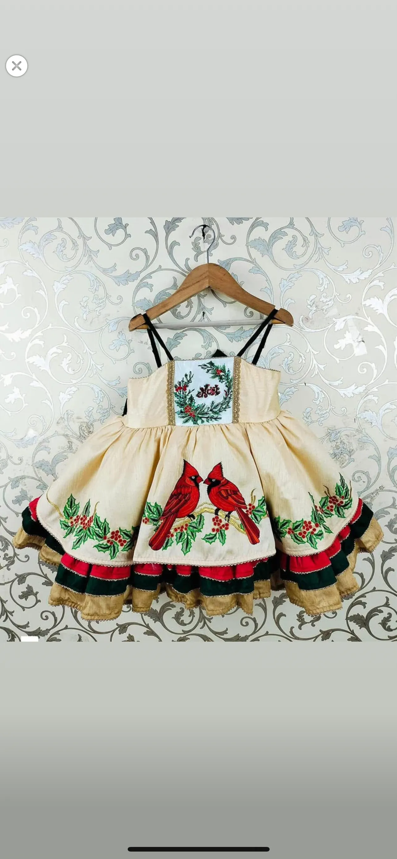 AM- Cardinals in Winter christmas causal 18/3 