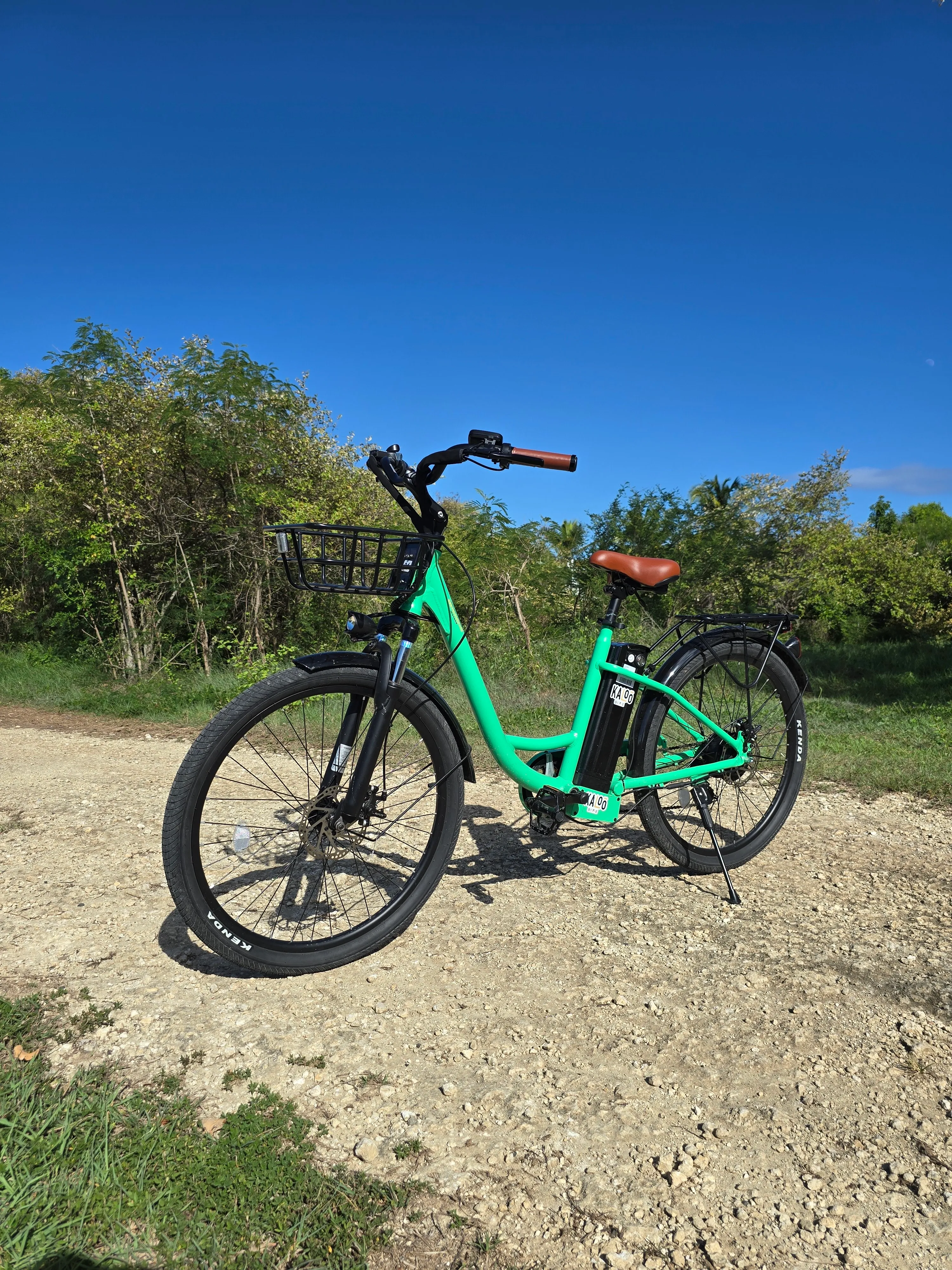 Vélo de Balade Électrique