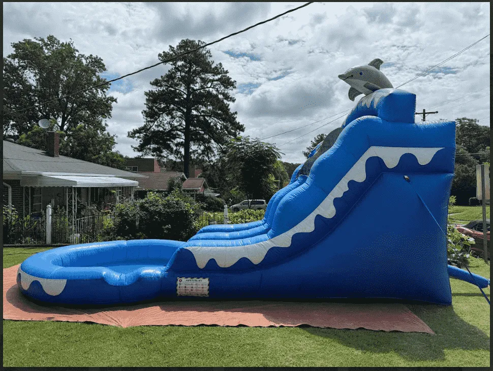 Dolphin Water Slide