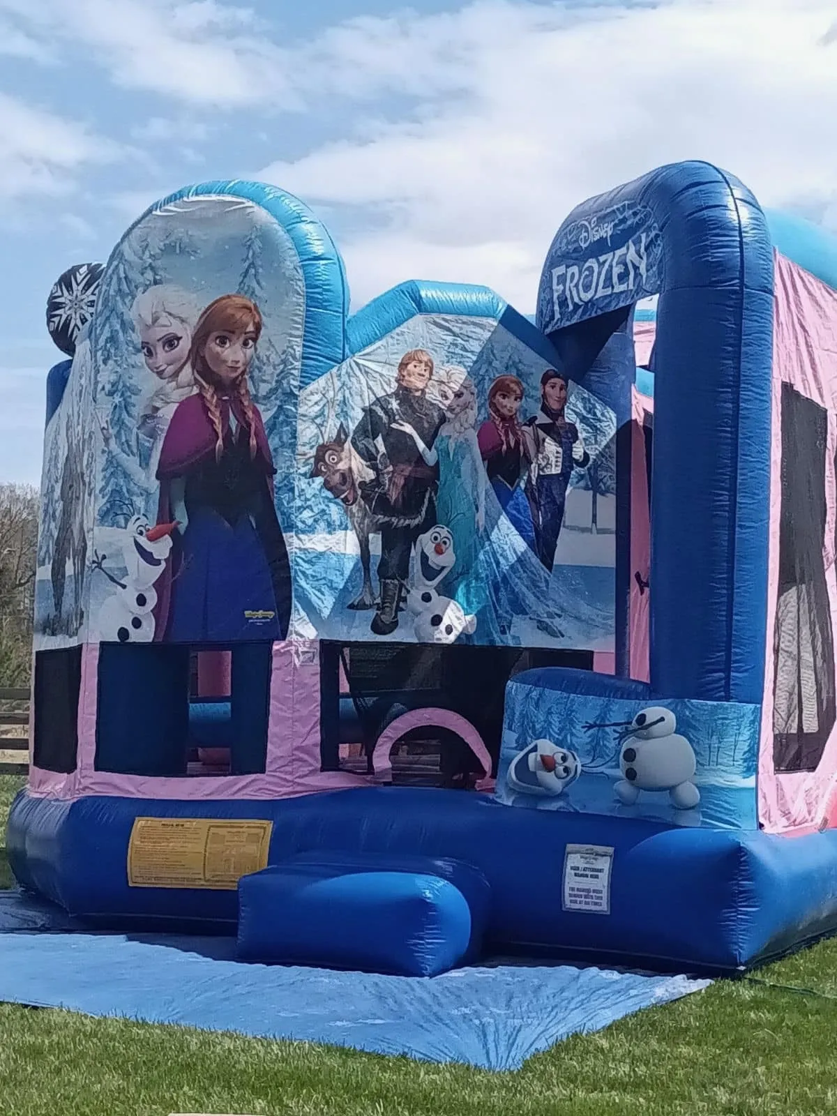 Frozen Bounce House