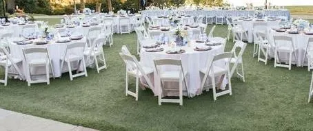 40 Guest Package - Wedding Reception (Specify Linen Colors)