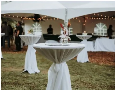 Cocktail Table and Stool Package-Poly Linen