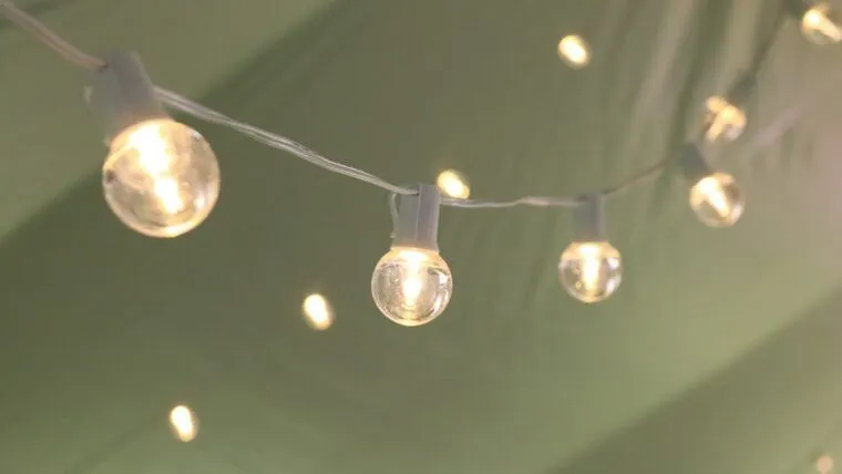 20 x 20 Tent Light Package