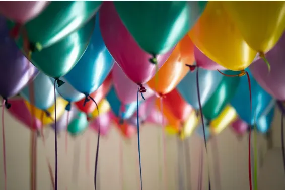 Party Rentals collection image