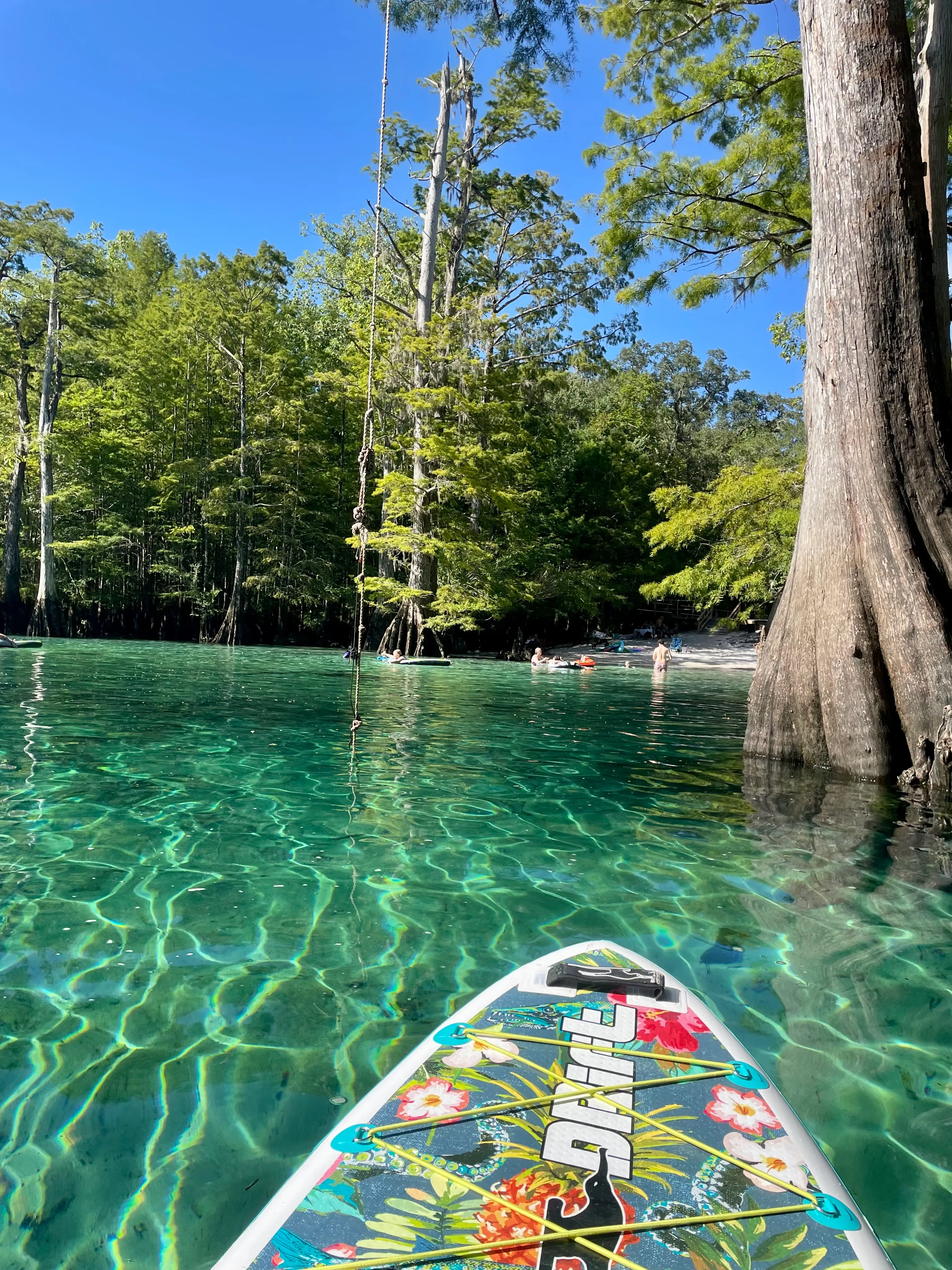 Morrison Springs State Park 2 hour paddle board rental (self guide)