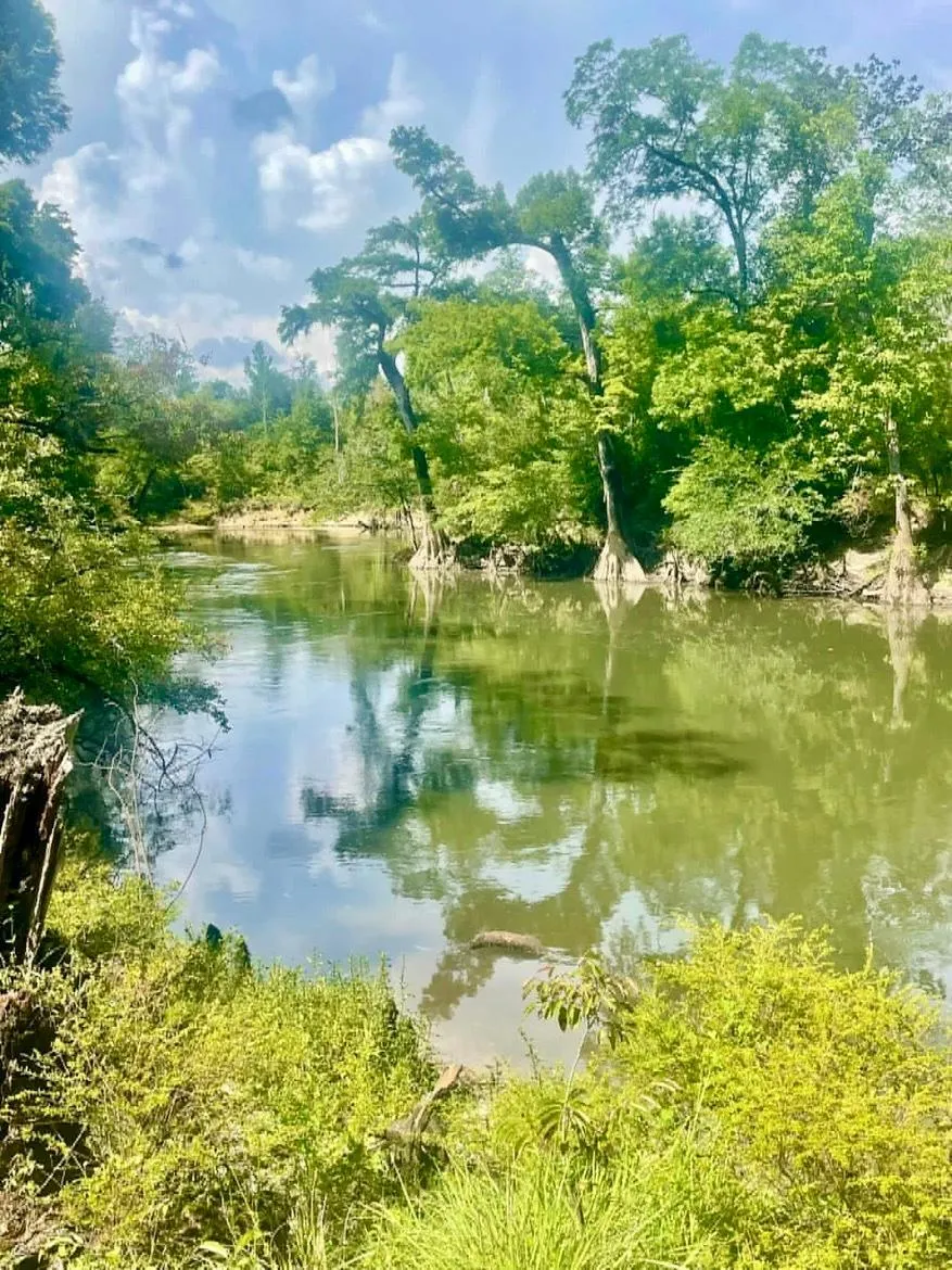 Chipola river 4 hour paddle board rental (self guide)