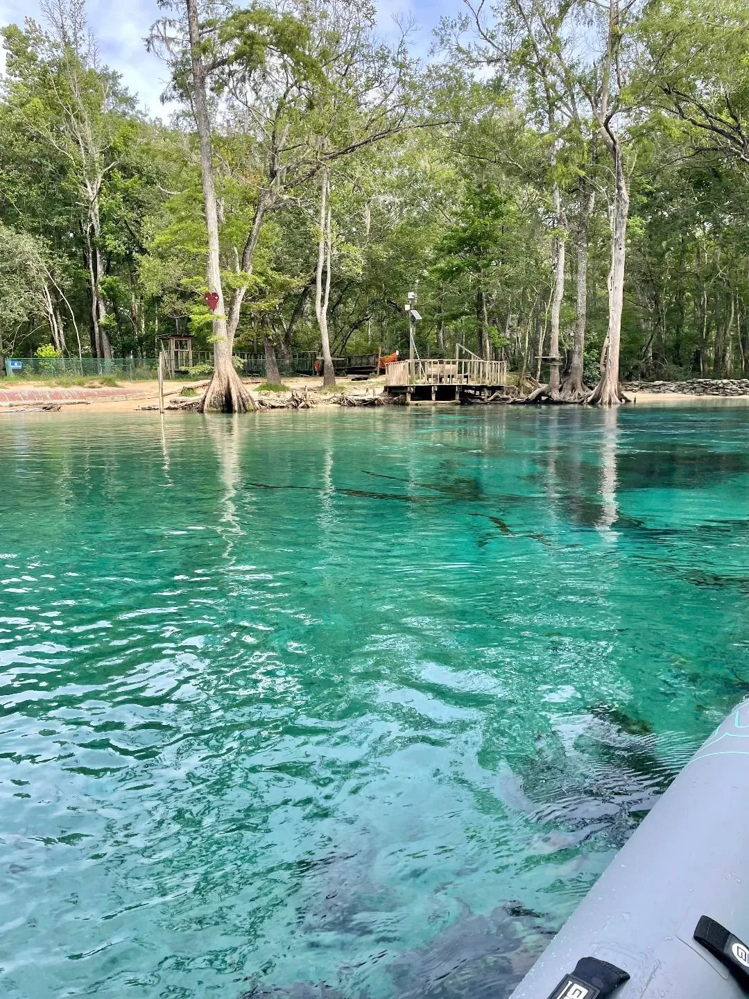 Cypress Springs / Holmes Creek 4 hour paddle board rental (self guide)