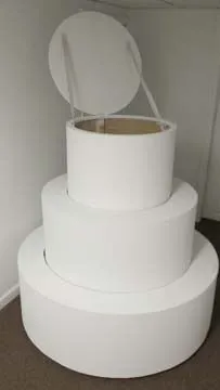 Pop Out Cake