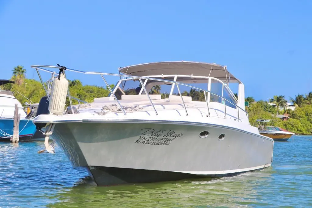 Yate - Trojan 38"