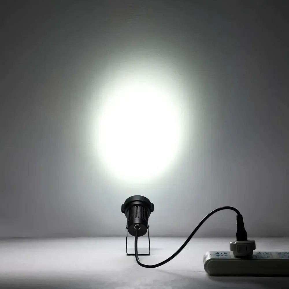 Spotlight - Uplighting