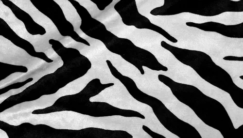 Napkin Zebra Print Black & White
