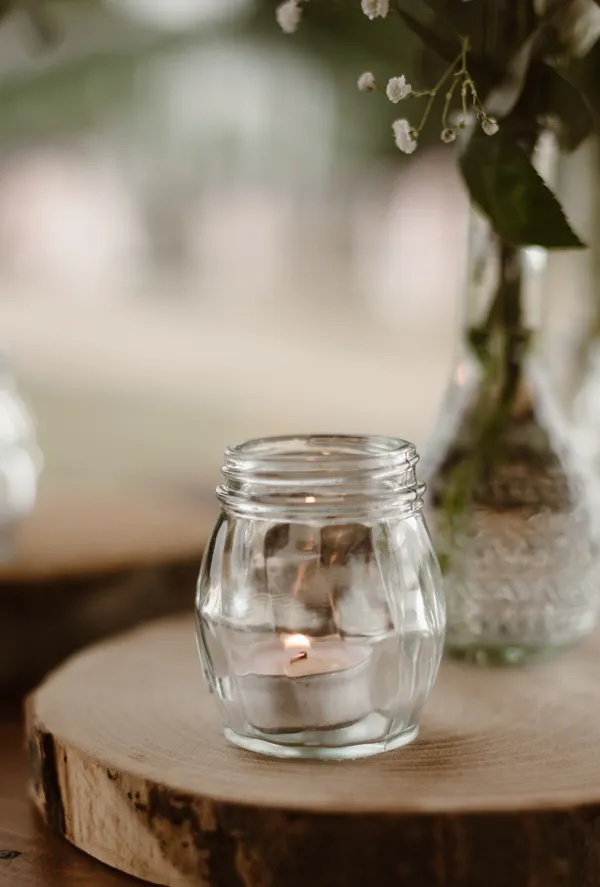 Boomstamschijf groot