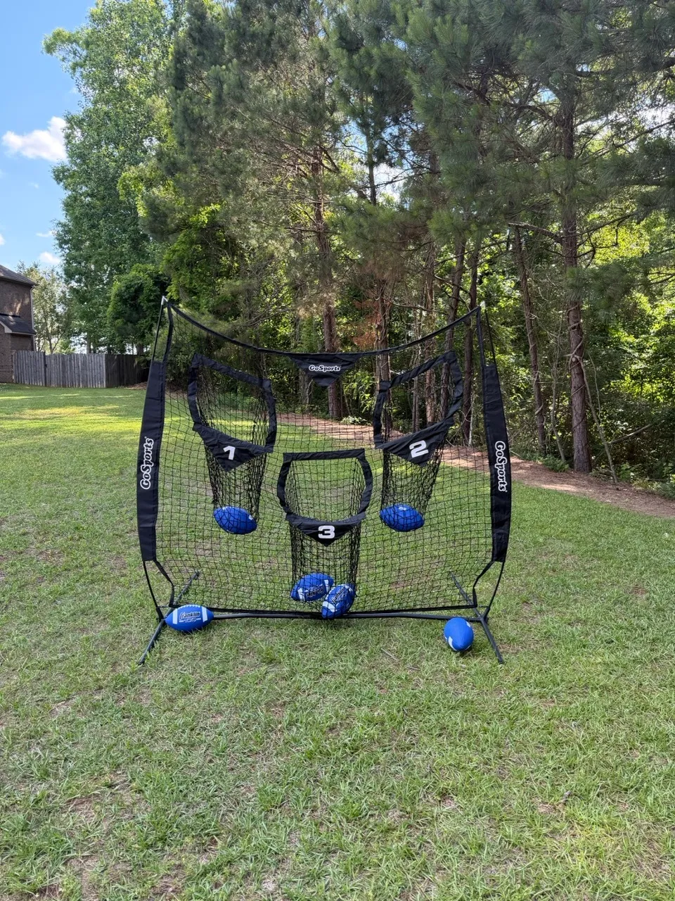 Pro Football Toss
