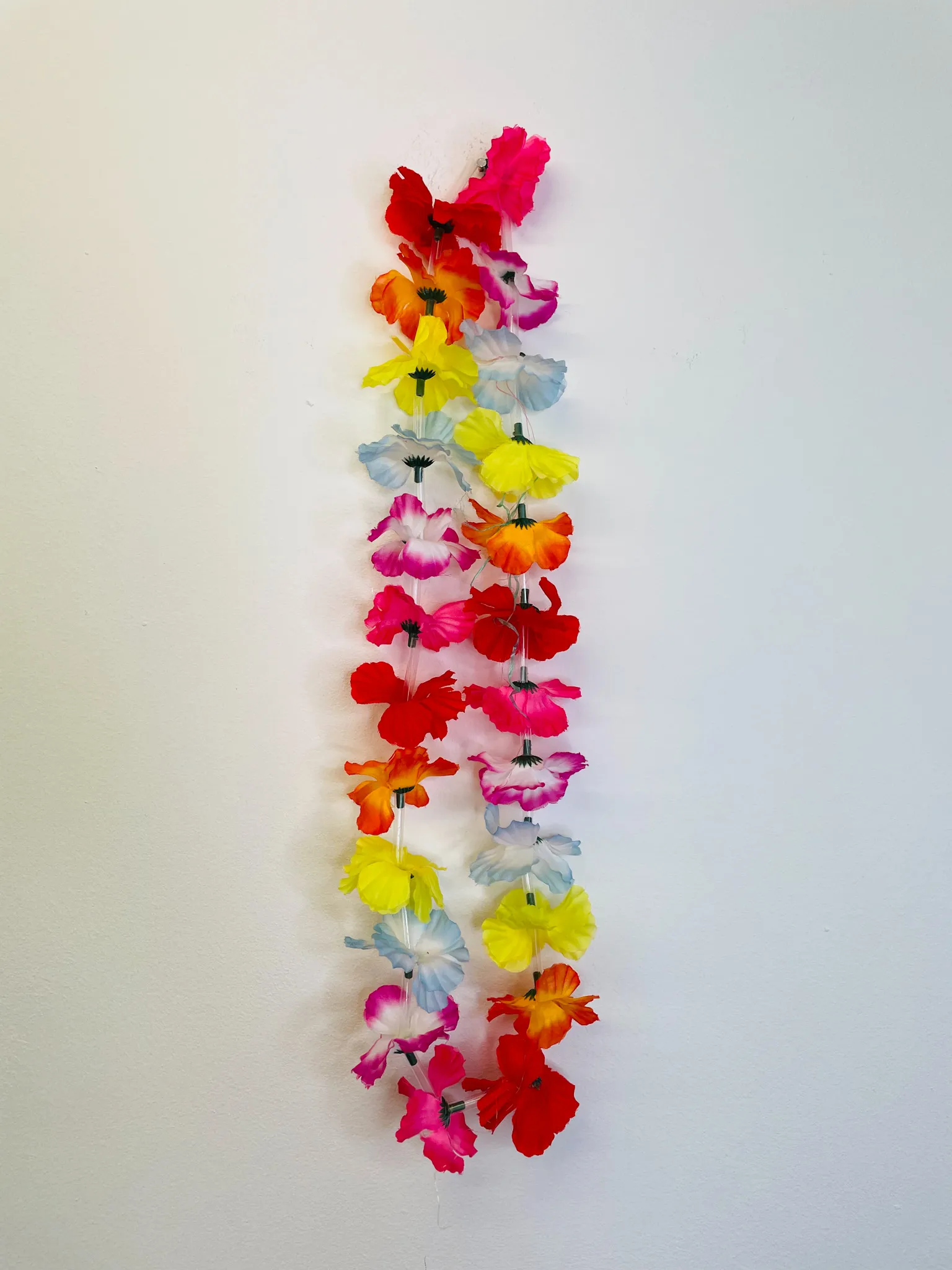BL115 - LEI