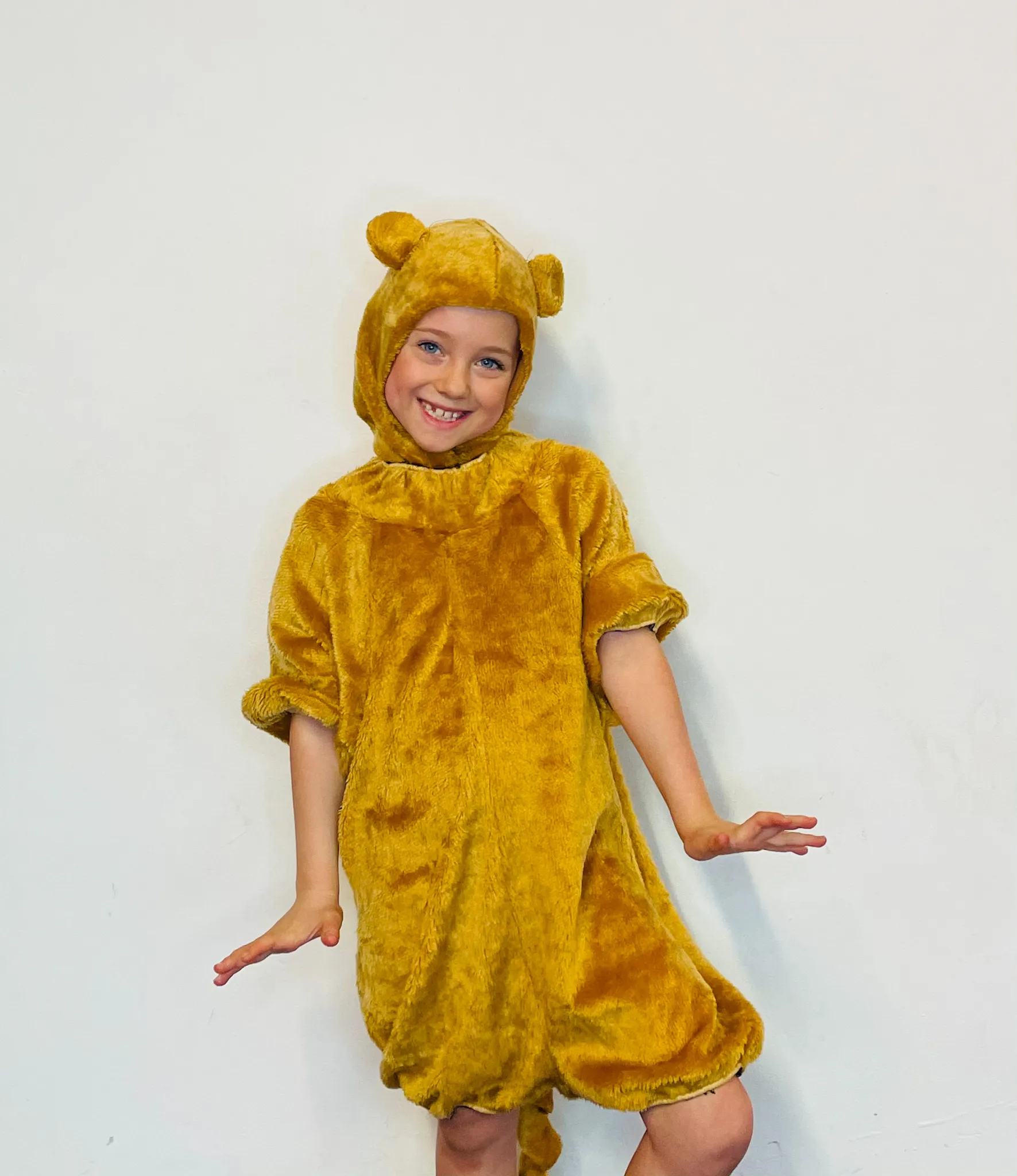 BL065 - BEAR/LION