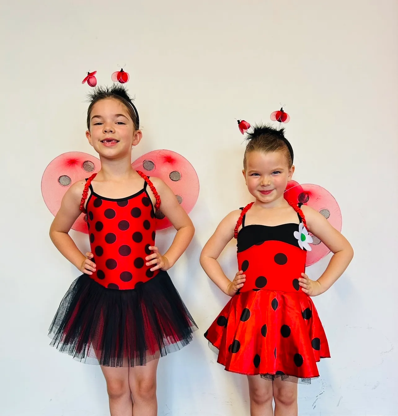 BL158 - LADYBIRD (with wings)